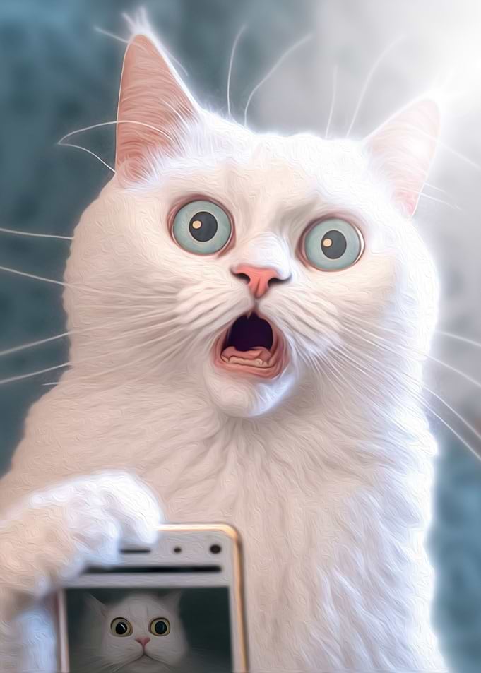 Funny Cat Shock