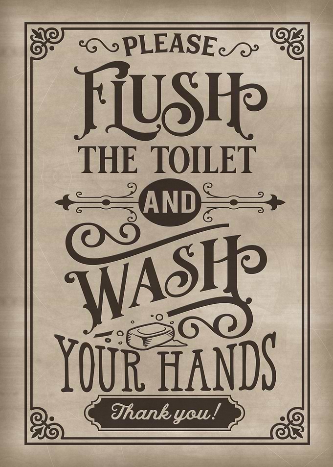 Flush the toilet