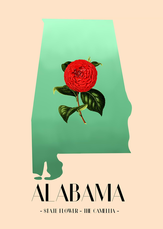 Alabama and State Flower