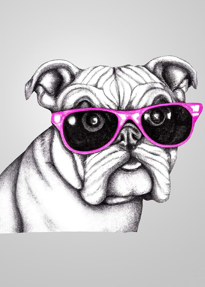 bulldog pink