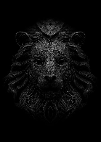 lion pattern