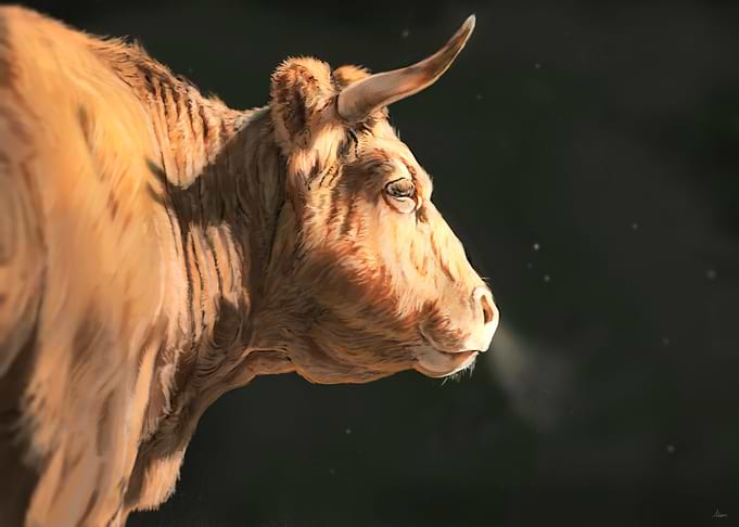 Betizu Cattle