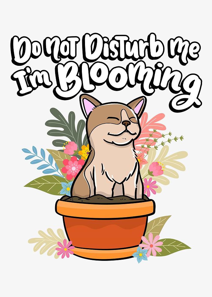 Do Not Disturb Me cat