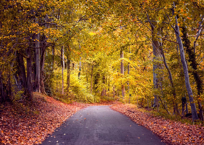 Autumn