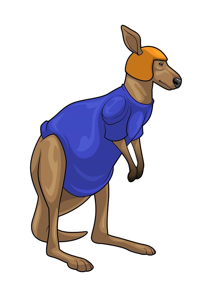 Kangaroo Football Helmet