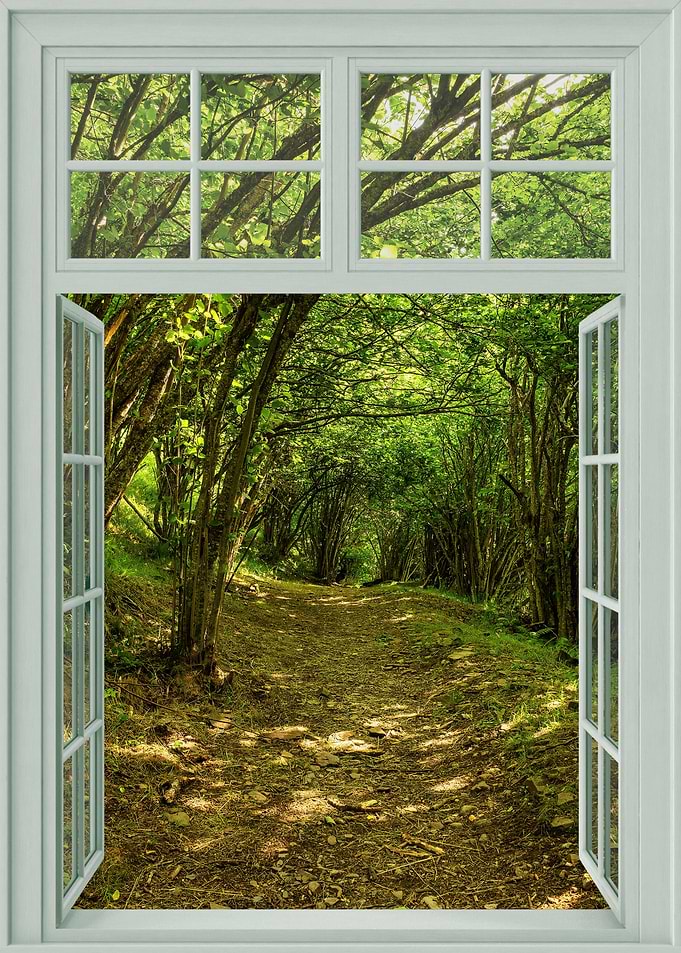 window open view forest