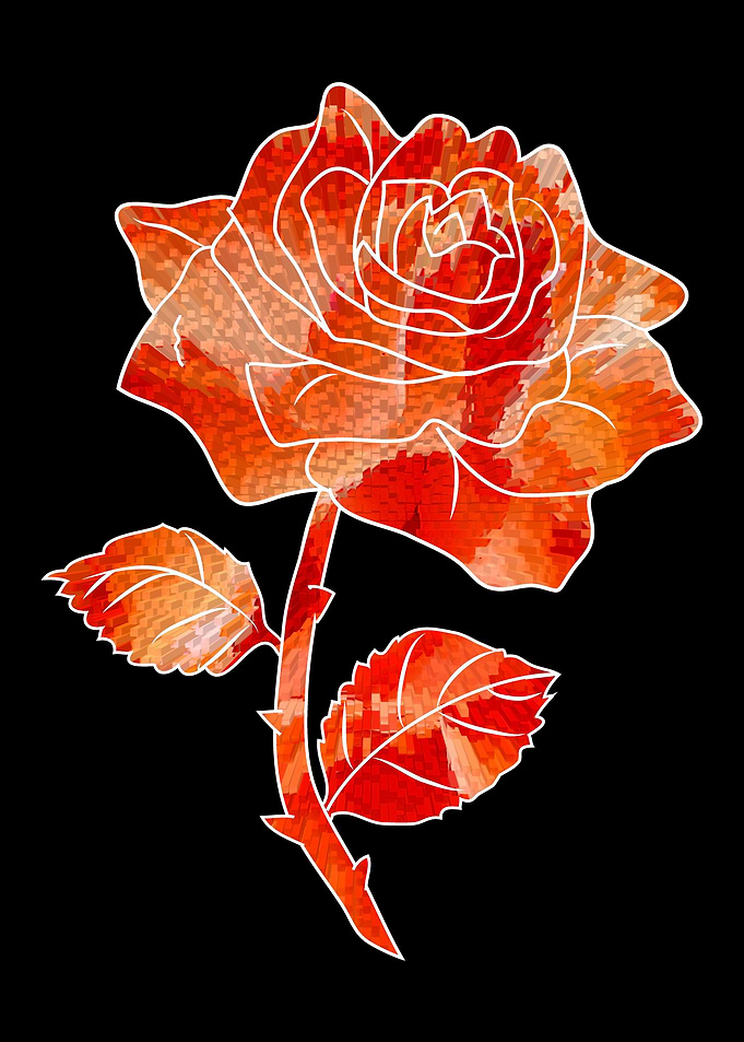 Abstract orange rose