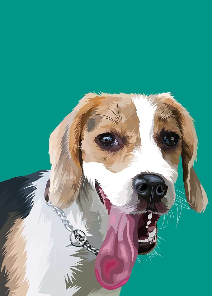 Beagle tongue out in vecto