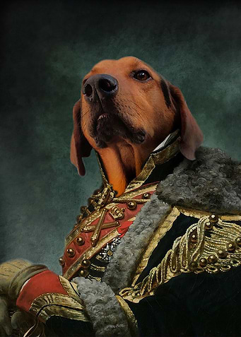 Dog Dachshud