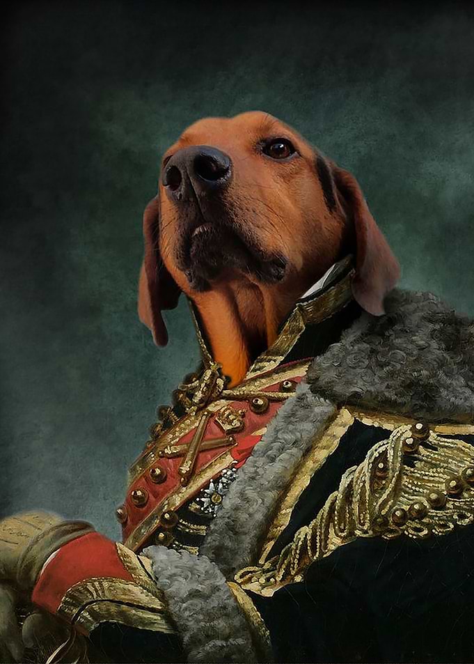 Dog Dachshud