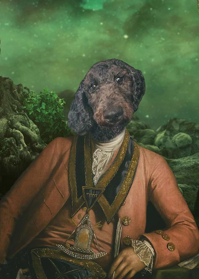 Poodle Doodle Dog