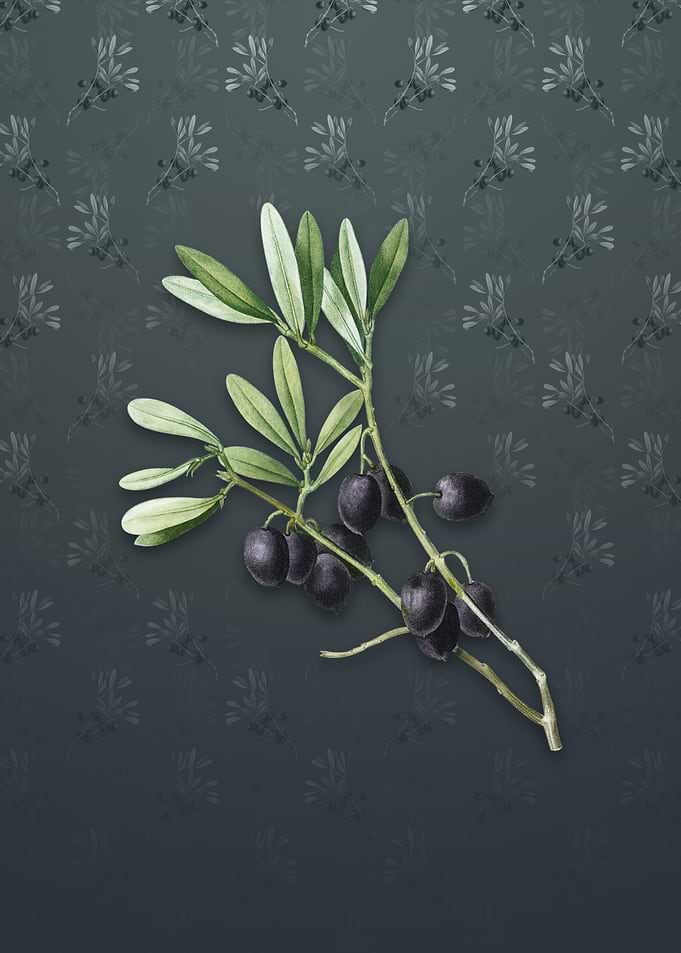 Olive Tree on Slate Gray