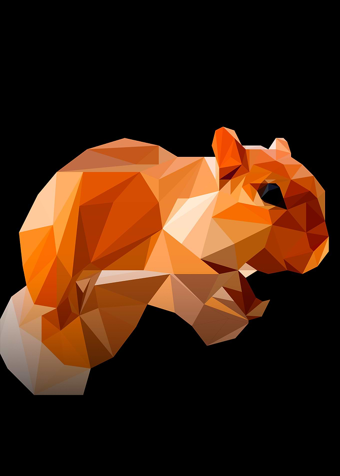 Squirrel