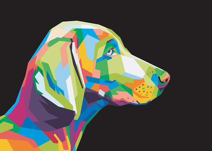 Colorful Dog Head