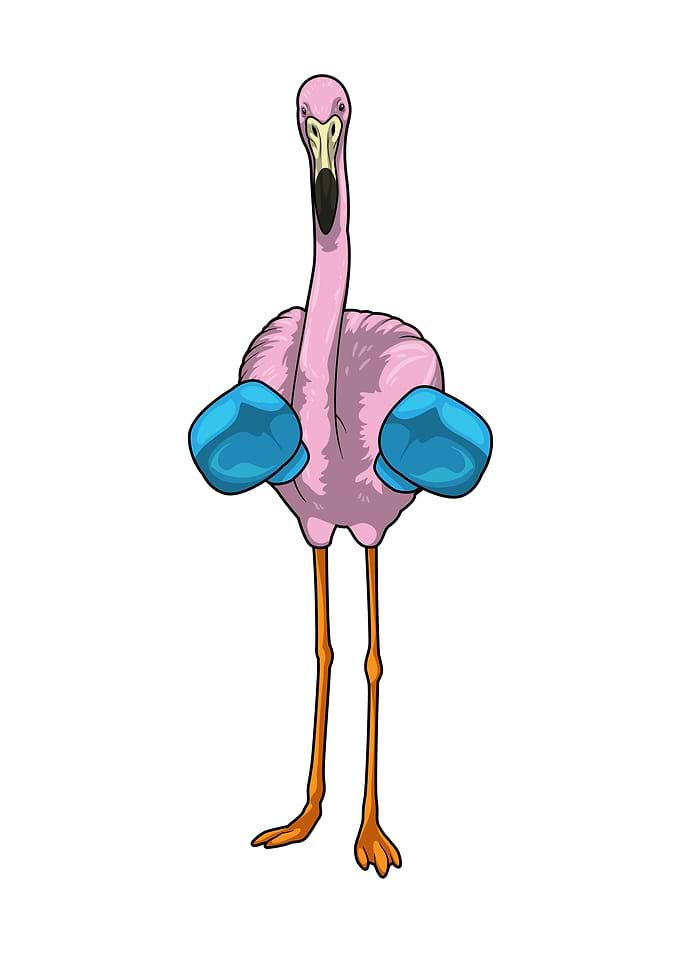 Flamingo Boxer Boxing