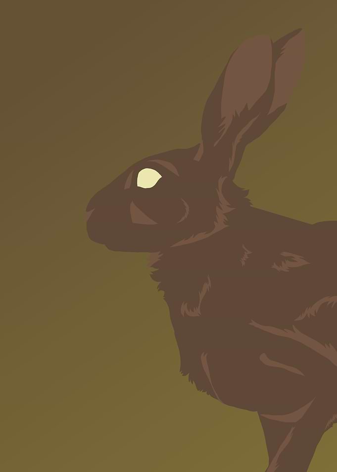 The Hare