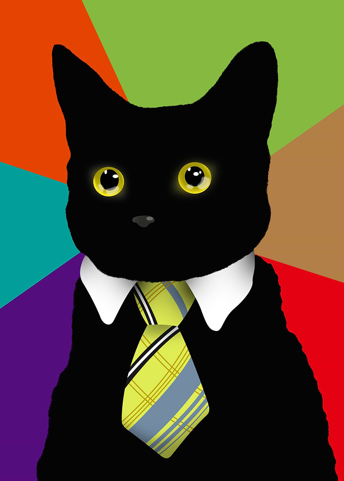 Funny Business Cat Meme