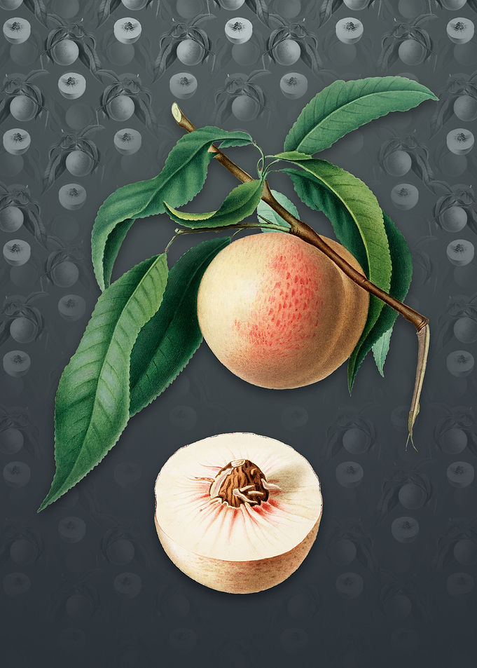 Peach on Slate Gray