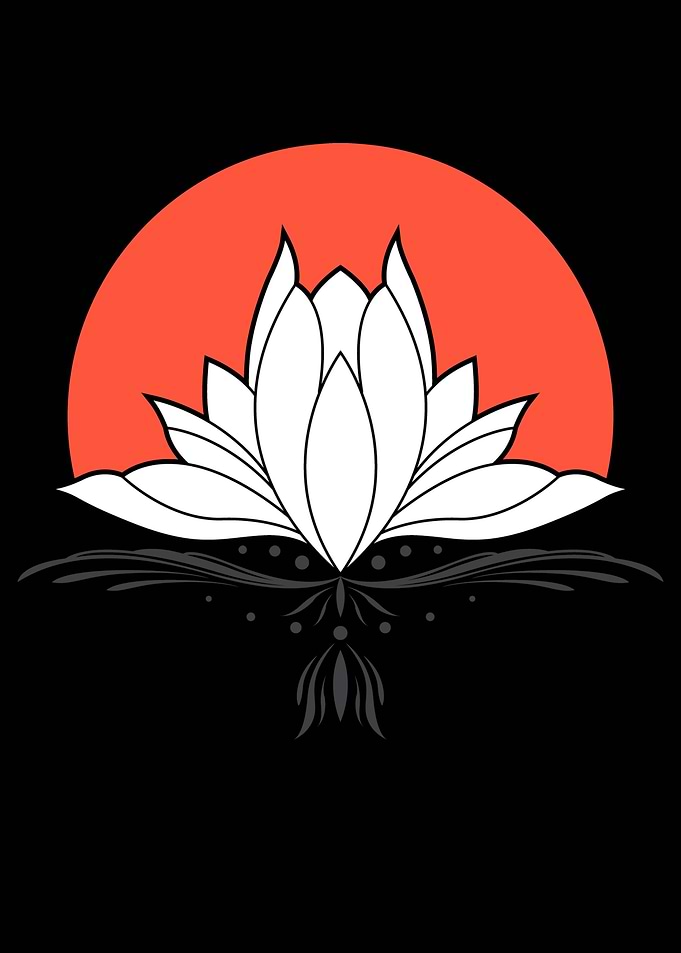 Lotus Sunset
