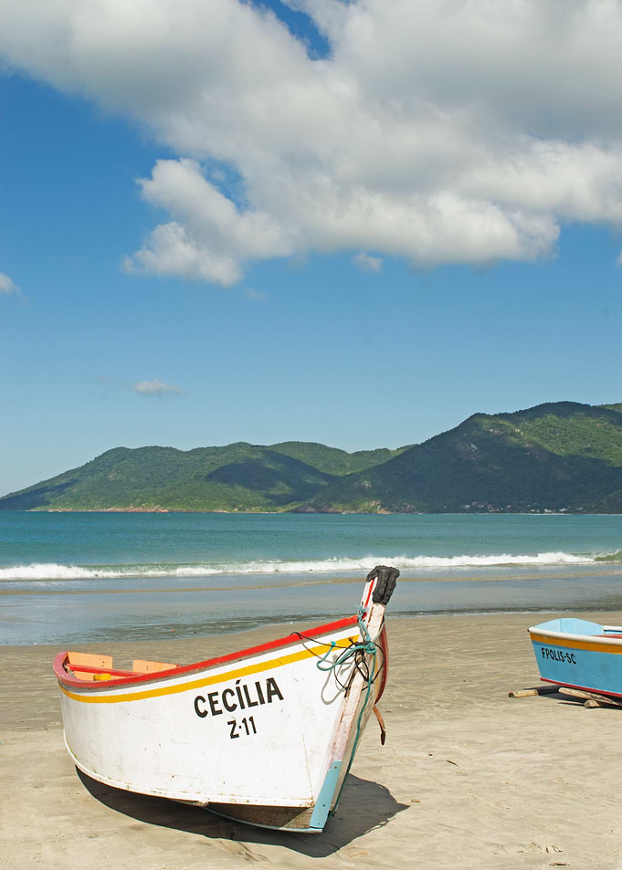 Cecilia