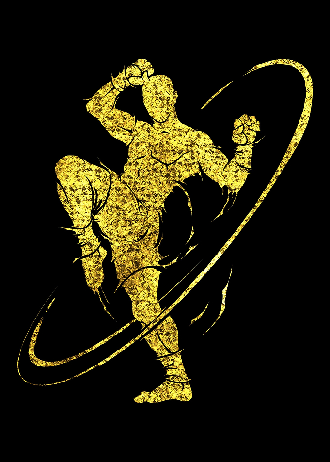 Kick boxing