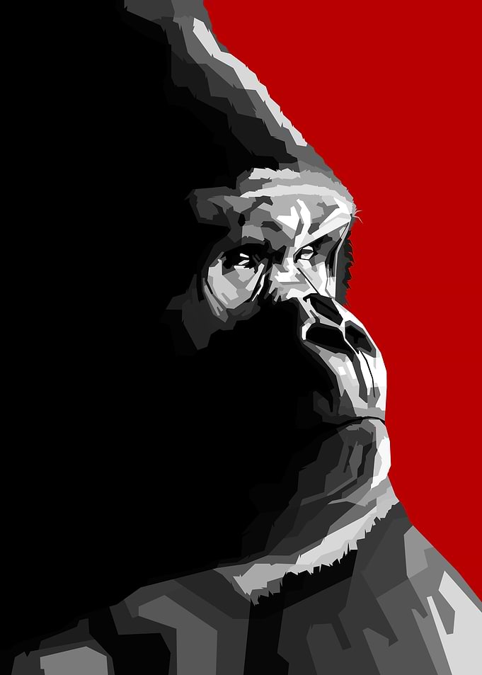 Gorilla