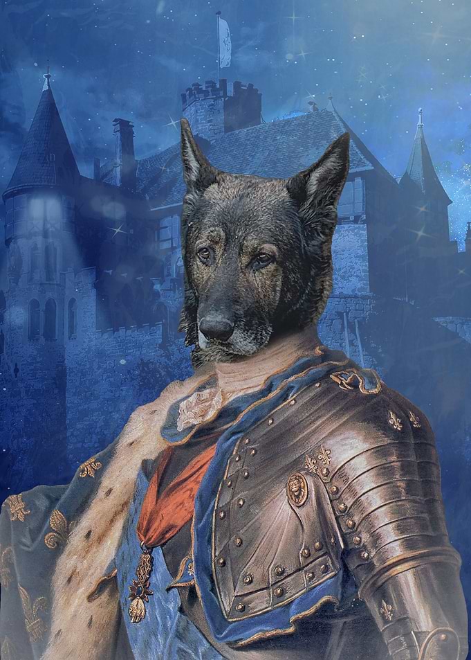 German Shepherd Dog