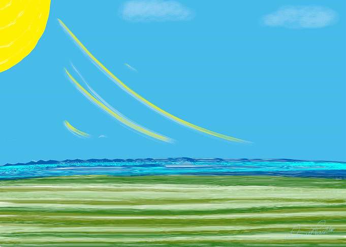 Sunny Day