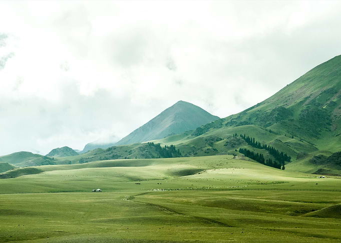 Mountain