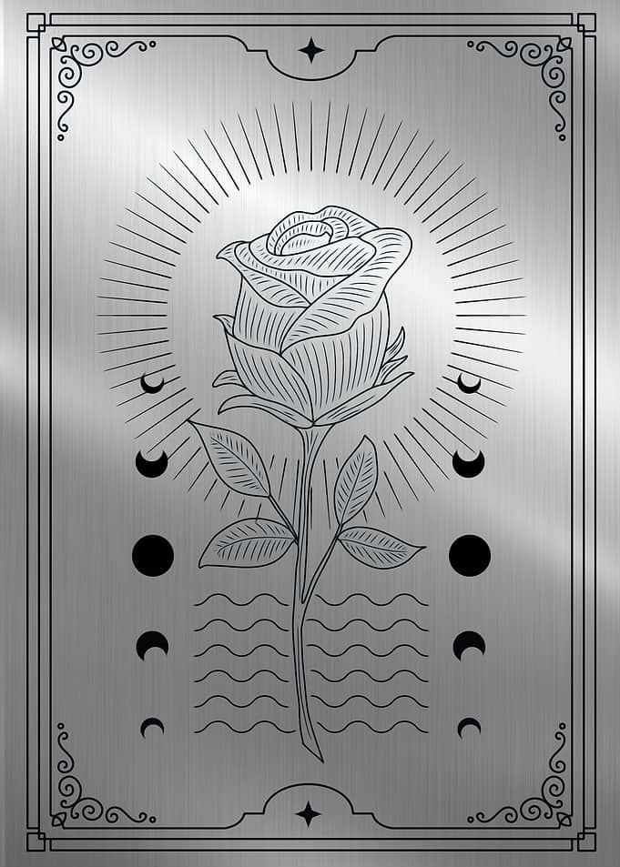 Rose flower engraving