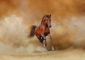 Horse