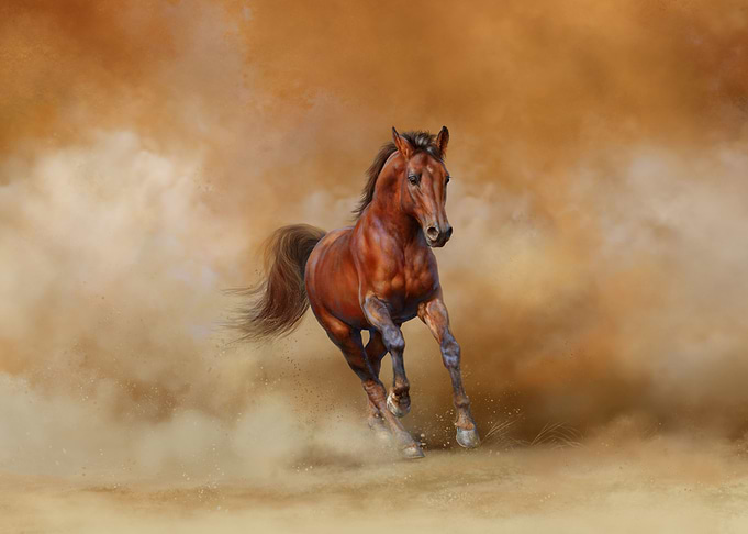Horse
