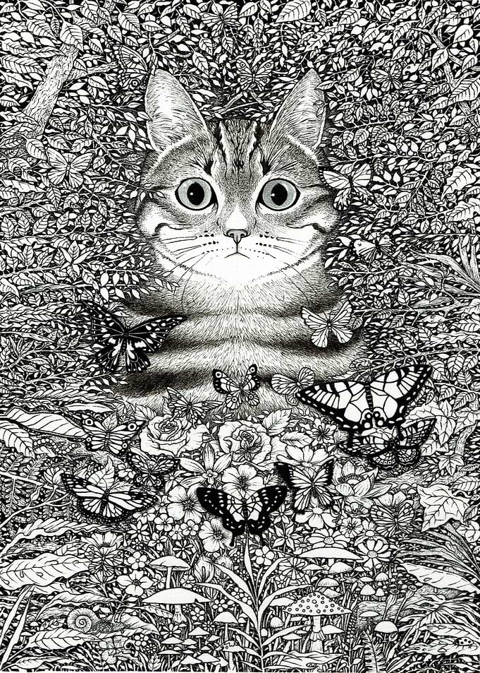 Hidden cat blackwhite