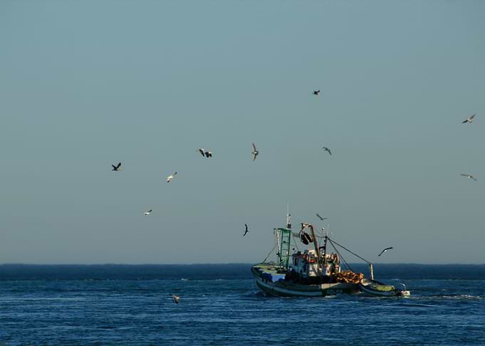 Ilha de Armona Portugal