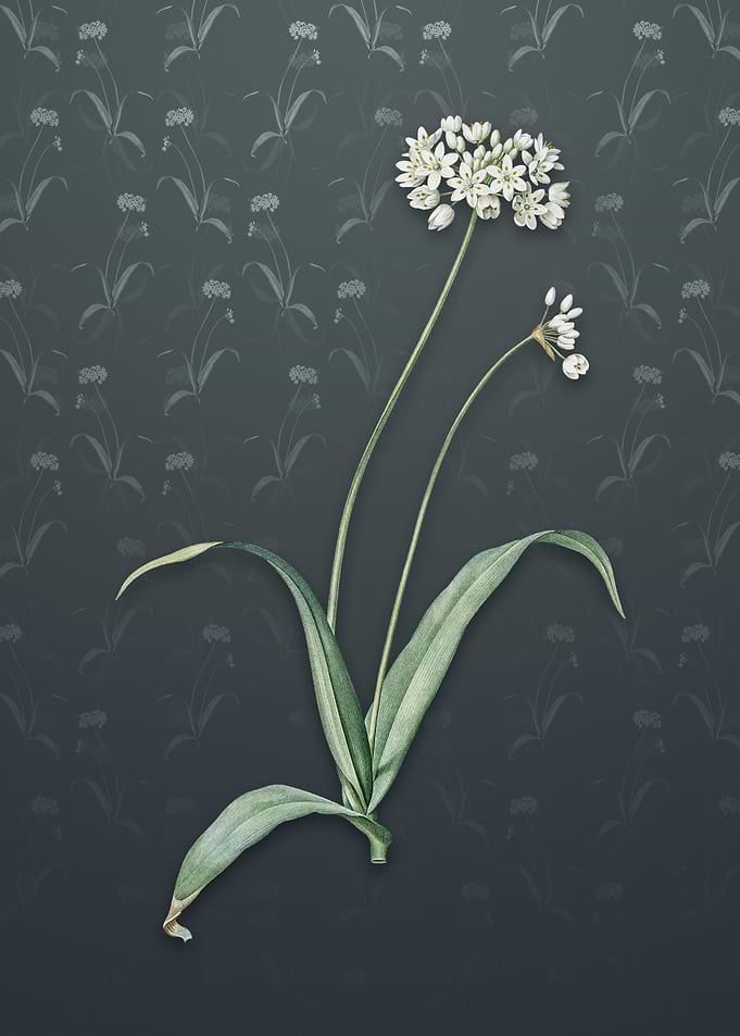 Vintage Spring Garlic