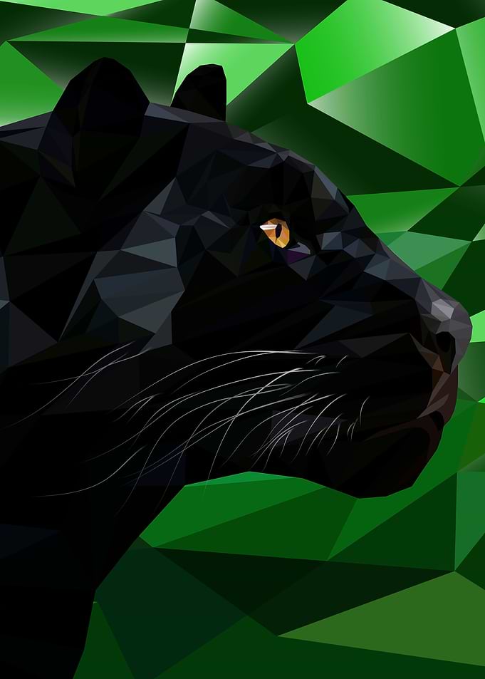 Panther