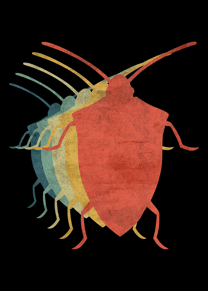 Bug Retro Vintage Color