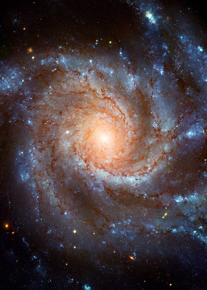 Spiral Galaxy