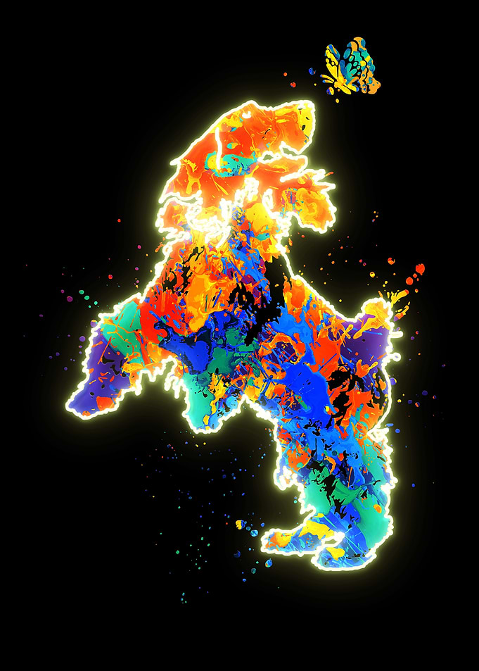 Cocker Spaniel Dog