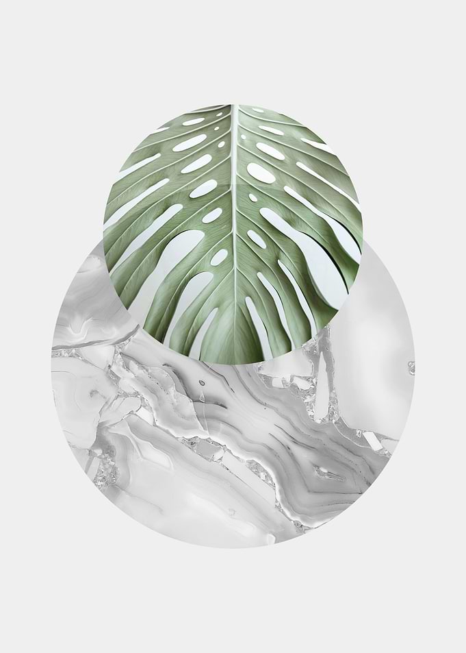 Botanical and geometric 07