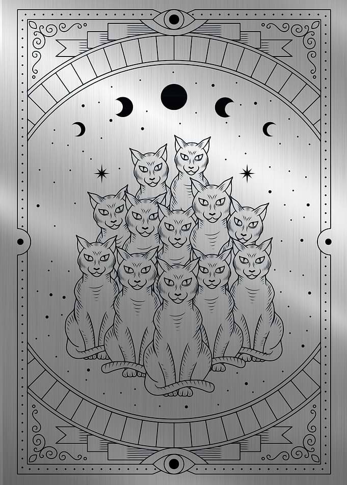 magical black cats