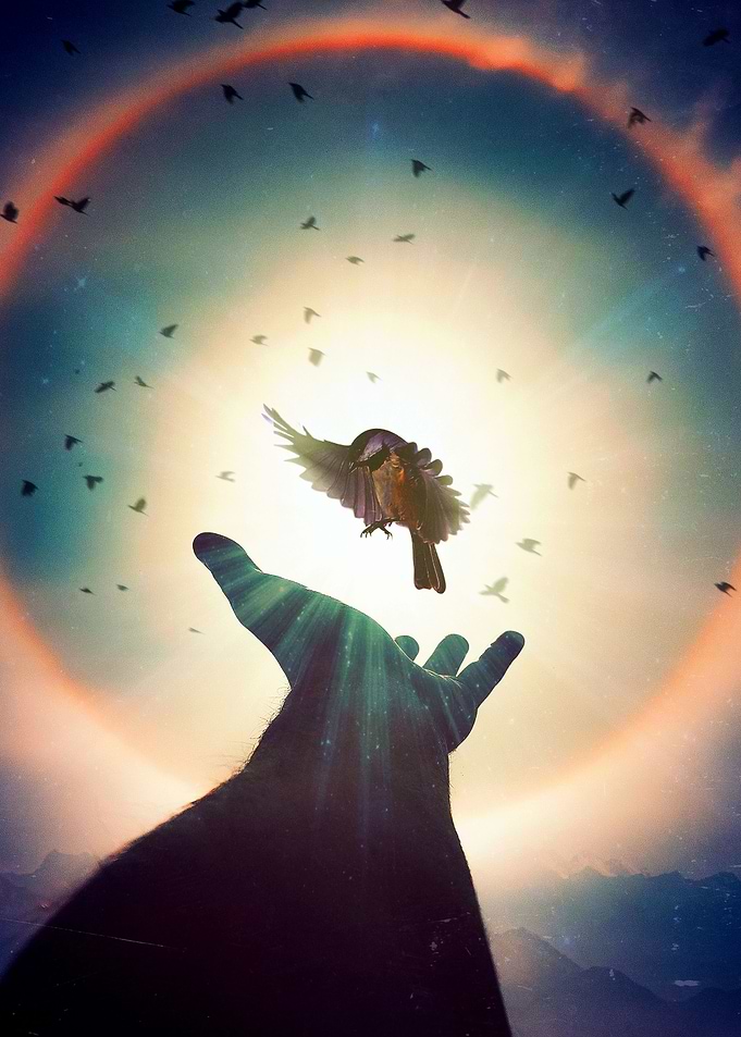 Liberator