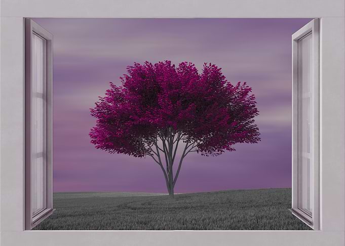 Open window view tree