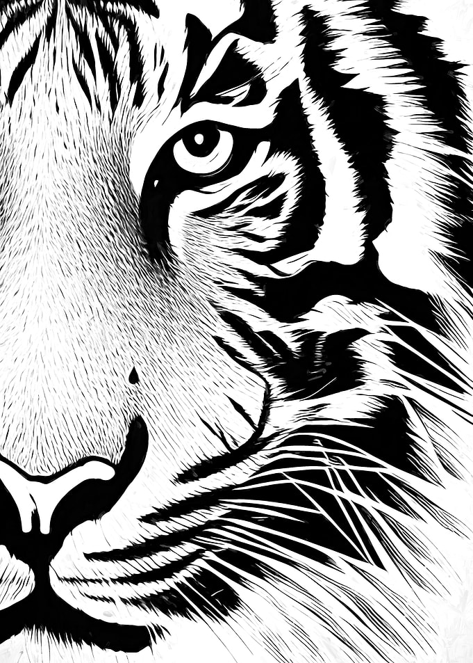 The Tiger