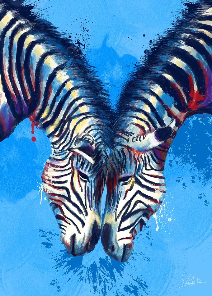 Friendship Zebras