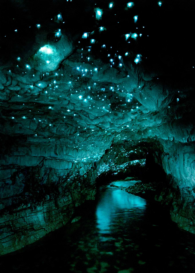 Glowworm caves New Zealand