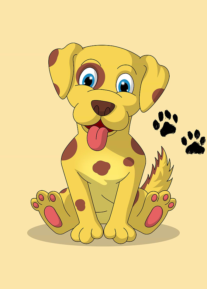 Puppy