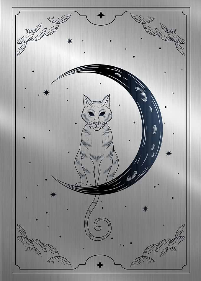 Cat and crescent moon