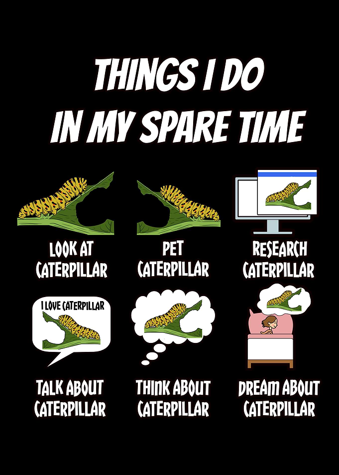 Things I Do In My Spare Ti