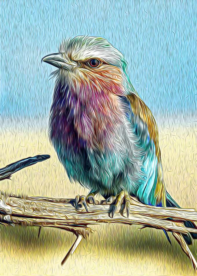 Bird